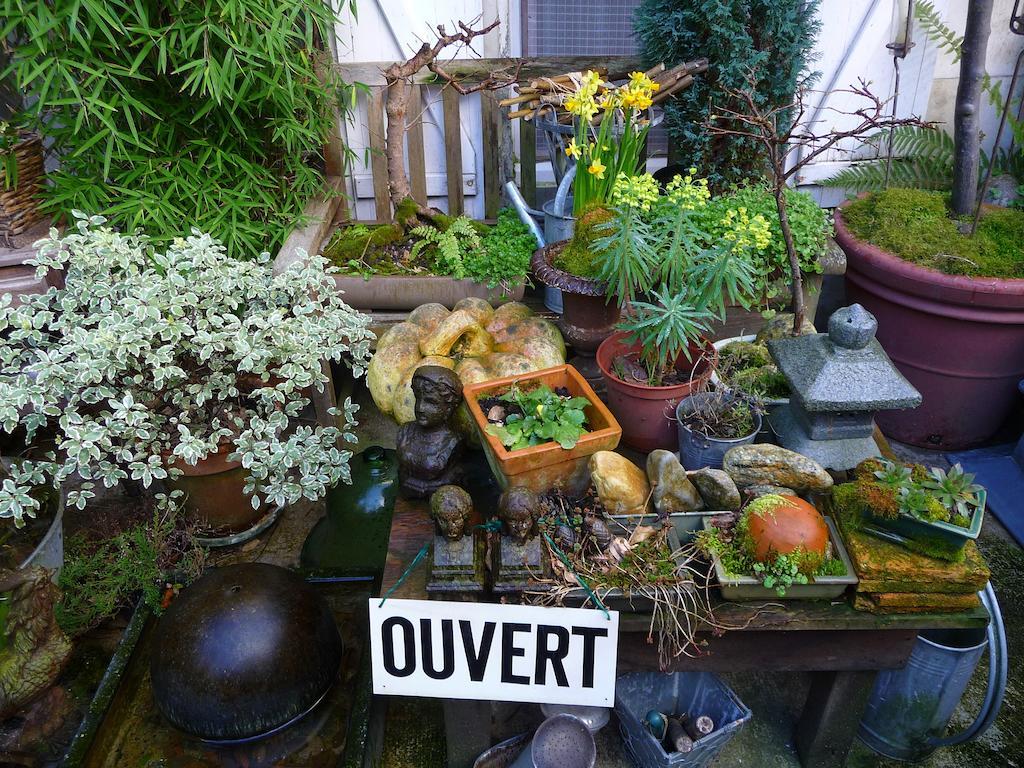 Chouzé-sur-Loire Escale De Loire B&B 외부 사진
