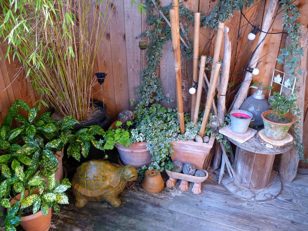 Chouzé-sur-Loire Escale De Loire B&B 외부 사진