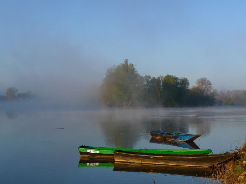 Chouzé-sur-Loire Escale De Loire B&B 외부 사진