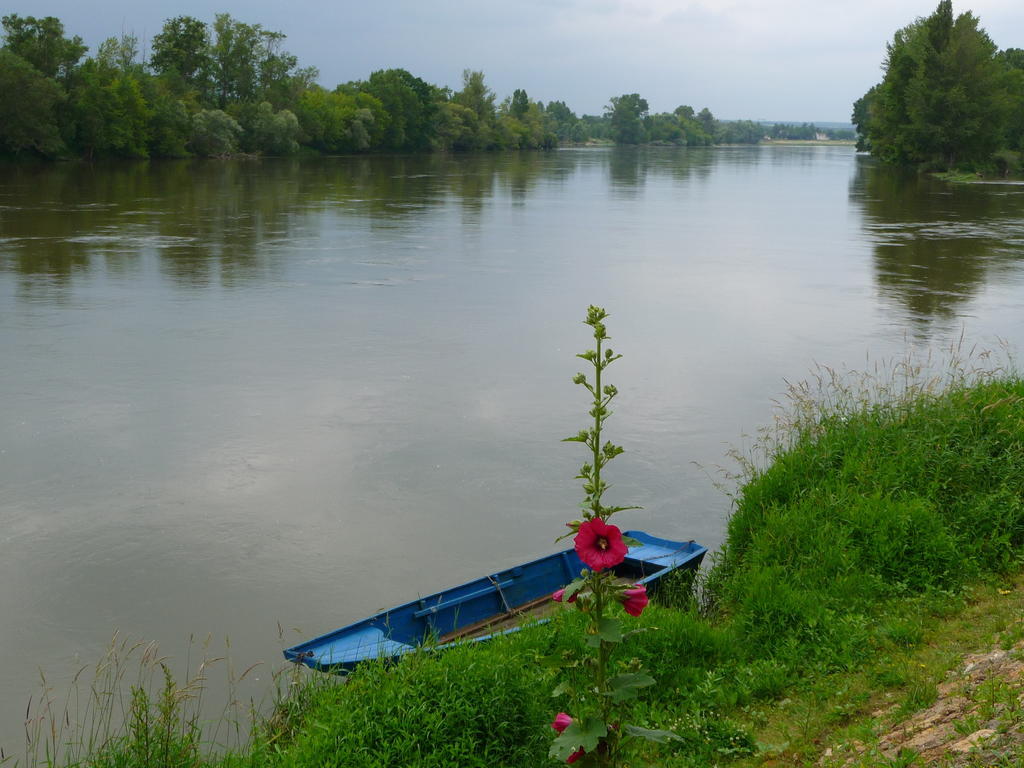 Chouzé-sur-Loire Escale De Loire B&B 외부 사진
