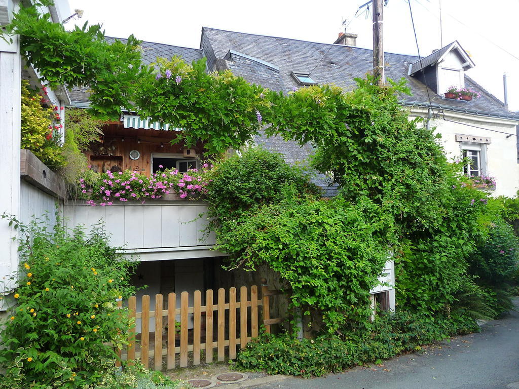Chouzé-sur-Loire Escale De Loire B&B 외부 사진